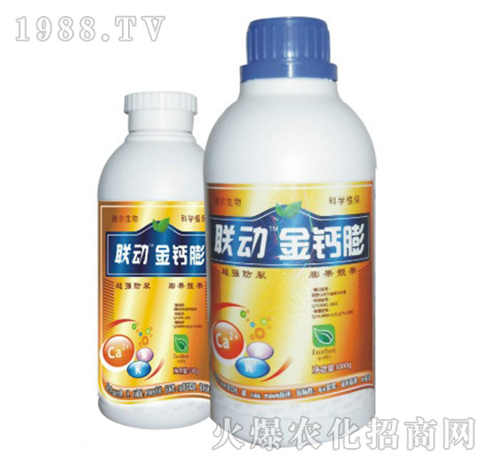 ���}��-(li��n)��(d��ng)-� �����