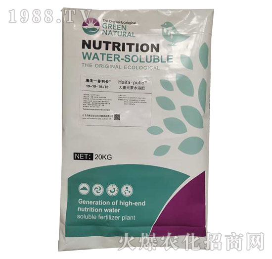 ����Ԫ��ˮ�ܷ���19-19-19+TE-������