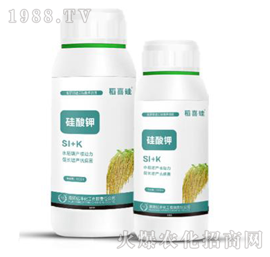 �����-��ϲ��-�|�S����