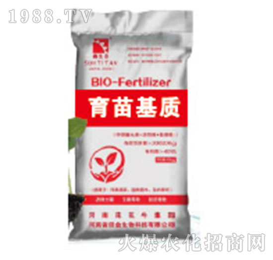 �@ˇ������|-�������