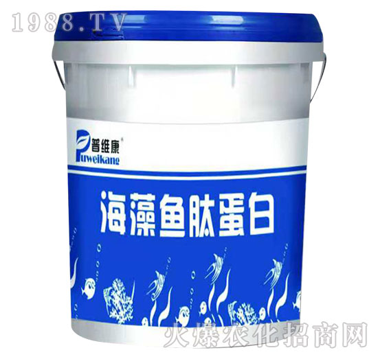 �����~⁵���-�վS��-�_�_(d��)