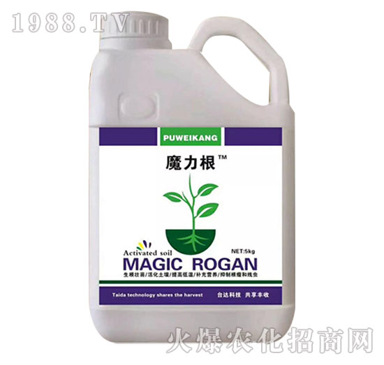 魔力根-臺(tái)達(dá)