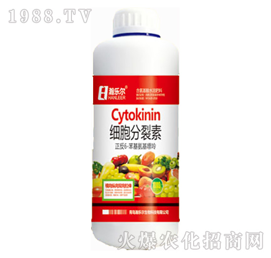 ����������-嫘���