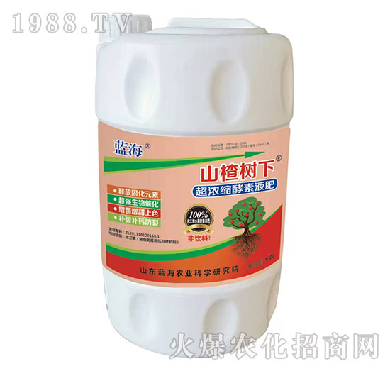 超濃縮酵素液肥-山楂樹(shù)下-藍(lán)海