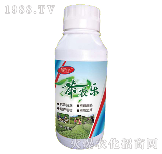 茶葉專用葉面肥-茶農樂-海拉維