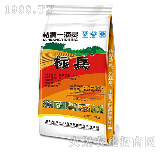 ���Sһ���`-�˱�-���S��