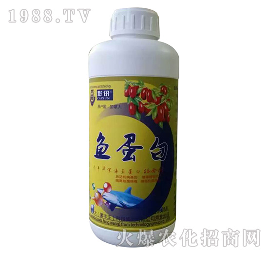 �~����-��Ӎ-���S��