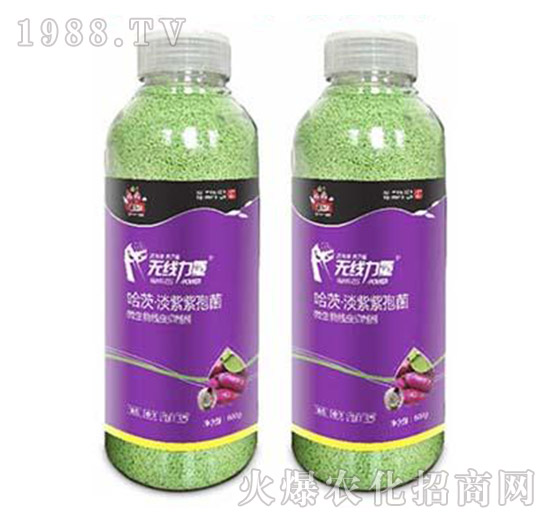 �o������-�����-���A����