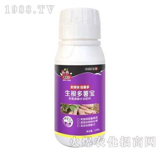 �������팚-�����-���A����