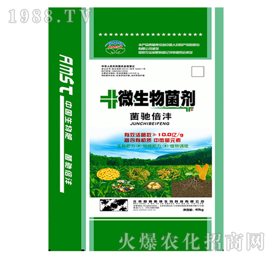 ΢�������-���Y����-��ķ˹