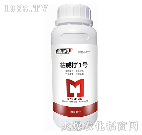 枯威檸1號-摩地師-中研益農(nóng)