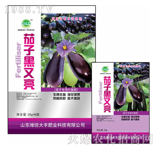 25g茄子黑又亮-田園季豐-大豐肥業(yè)