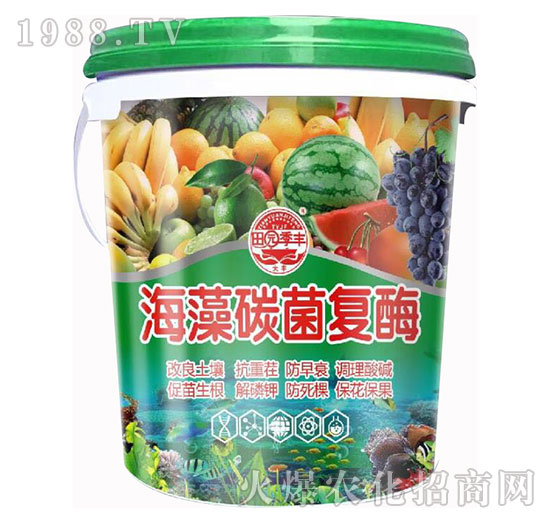 ����̼����ø-��@���S-���S�ʘI(y��)