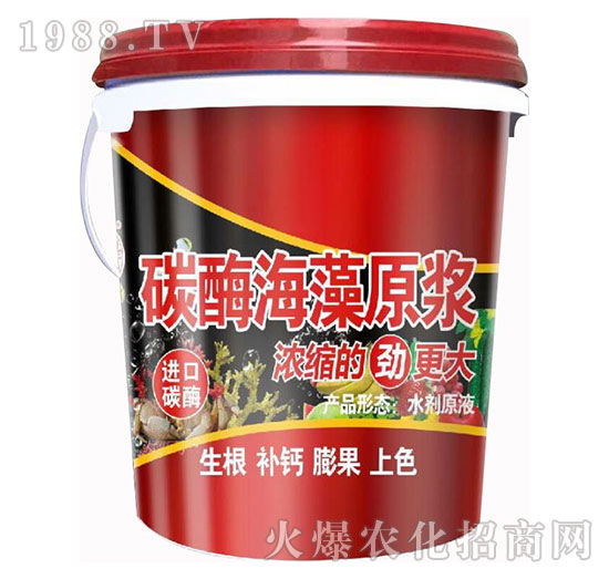 碳酶海藻原漿-田園季豐-大豐肥業(yè)