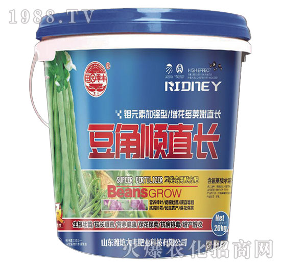 豆角順直長(zhǎng)-田園季豐-大豐肥業(yè)