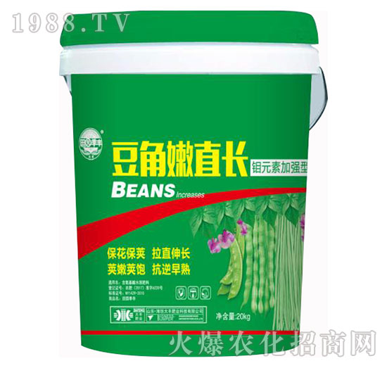 豆角嫩直長(zhǎng)-田園季豐-大豐肥業(yè)