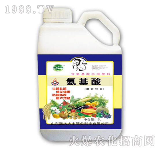 氨基酸-田園季豐-大豐肥業(yè)