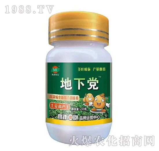 土豆高產(chǎn)王-地下黨-木禾佳寶