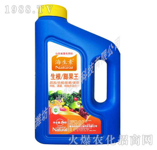 ����������_ʩ��-������-�ŵ�