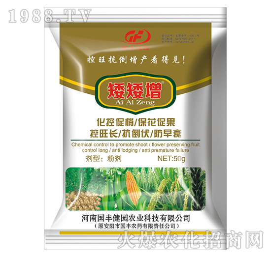 矮矮增-國豐健園