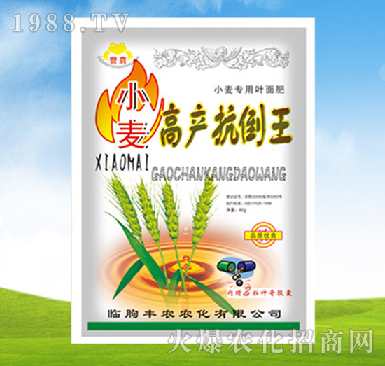 小麥高產(chǎn)抗倒王-植翠-豐農(nóng)農(nóng)化