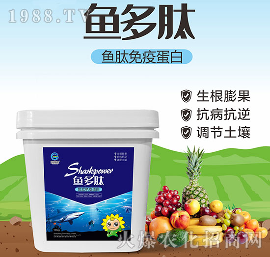 魚肽免疫蛋白-魚多肽-高晟聯(lián)合