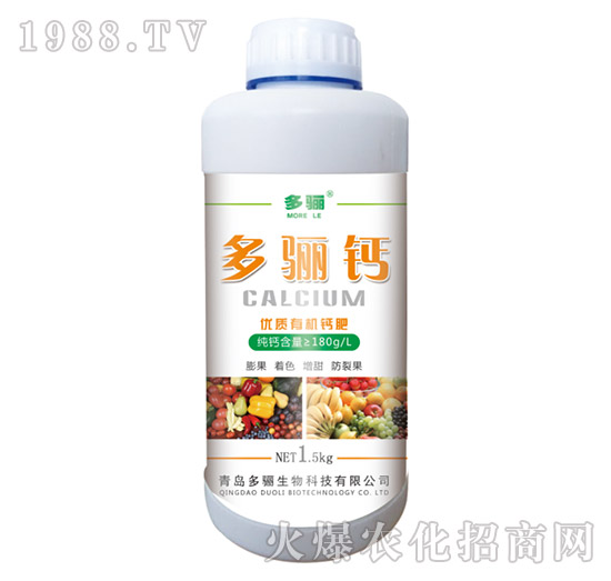 ���P�}��ƿ��-���P����