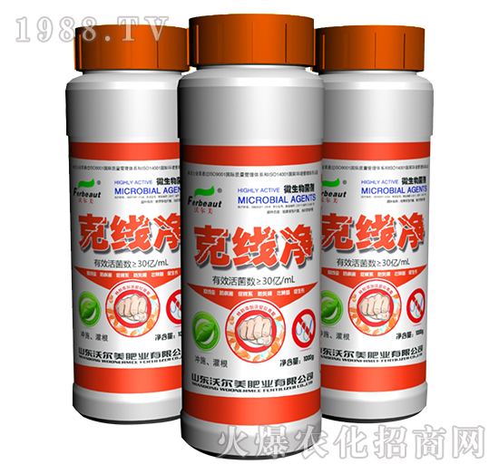 ΢�������-�˾���-�֠���