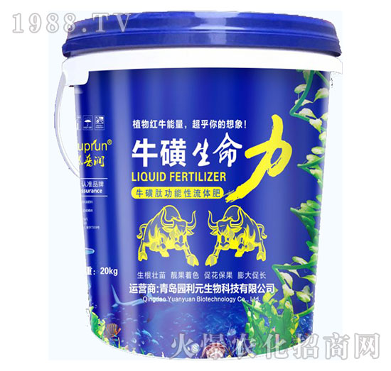 ����������-�@��Ԫ