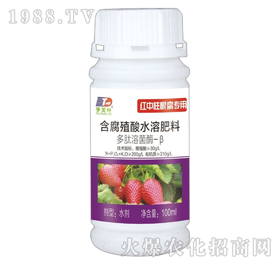 紅中柱根腐專用-含腐殖酸水溶肥料-天葉生物