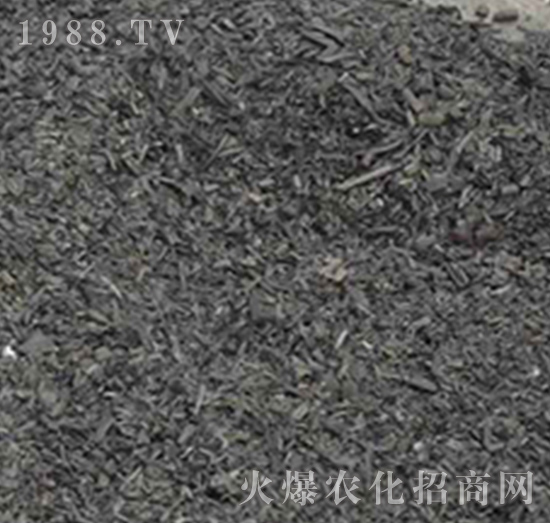 �ն�̿-��(r��n)�f���r(n��ng)�I(y��)