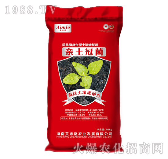 ����ø��(f��)���������ޏ�(f��)��-�H���ھ�-������