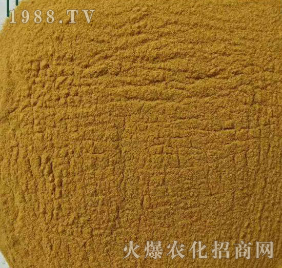 檸檬酸六元素（高鋅型）-實禾