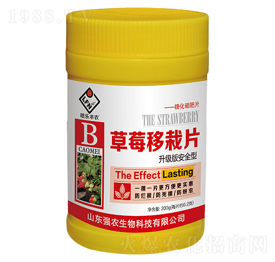 草莓移栽片-強(qiáng)農(nóng)生物