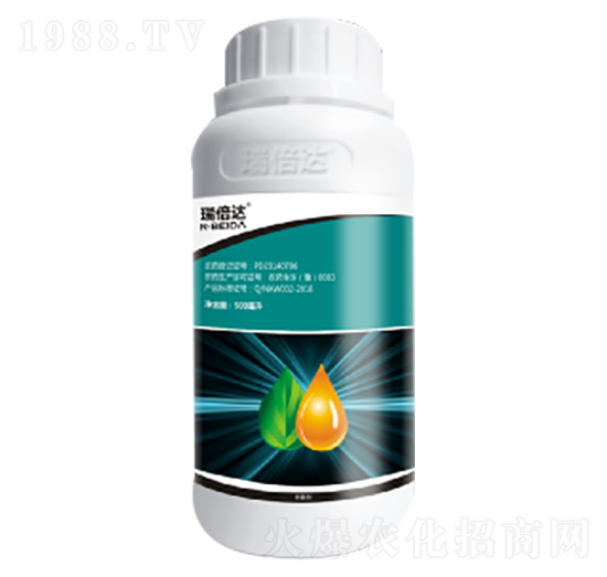 80��������-���_(d��)