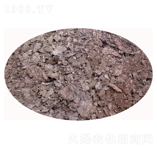 雞糞發(fā)酵有機肥-必豐生物