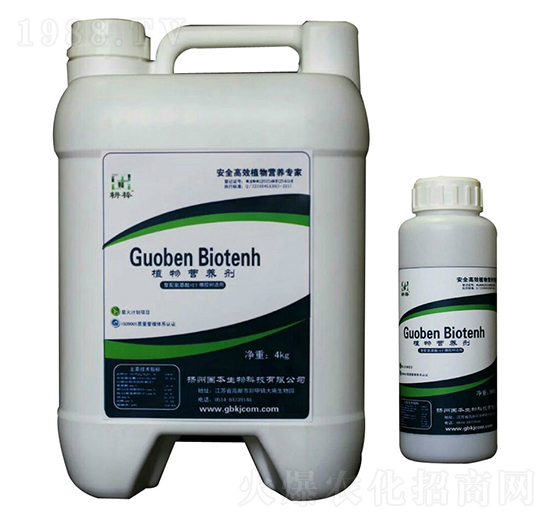 ���z��(sh��)-ֲ��I(y��ng)�B(y��ng)��-��(gu��)������