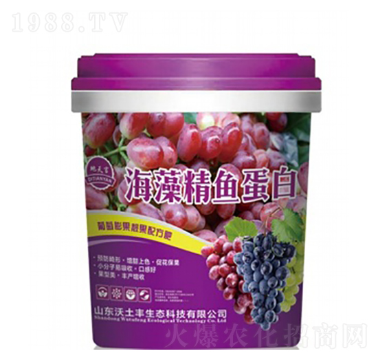 海藻精魚(yú)蛋白-地天言-沃土豐