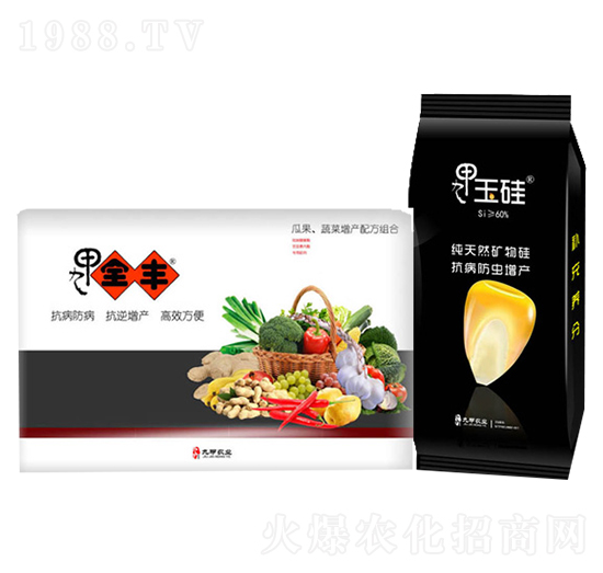 玉米高產(chǎn)套餐-九甲農(nóng)業(yè)