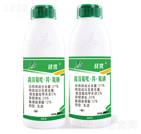 37%��Ч��������������-��(zh��n)��(y��u)-����