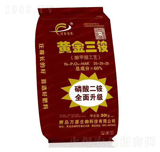 �S�����@�����ȩ��ˇ��-�fϲ����