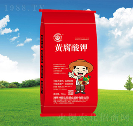 �S�����-�������