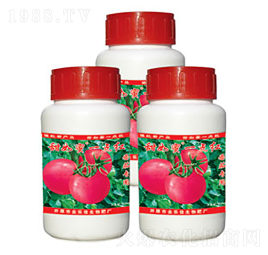 番茄專用一點紅-甜如蜜