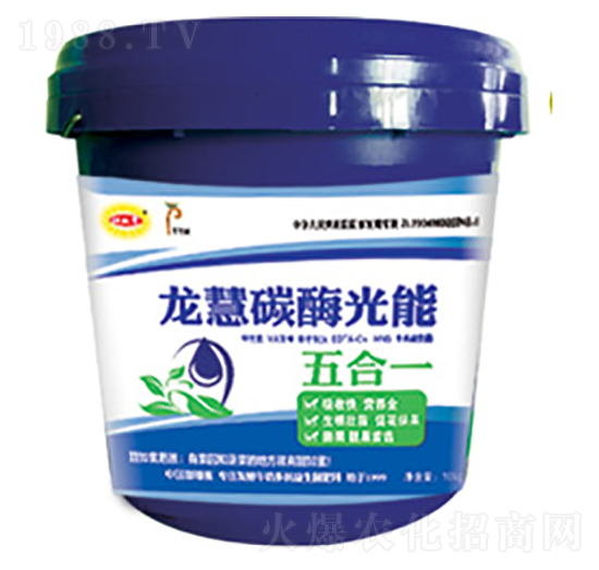 ����̼ø����-������