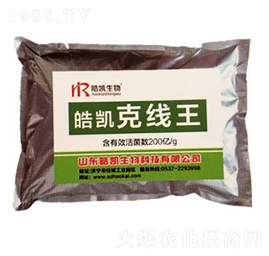 �P�˾���-�P����