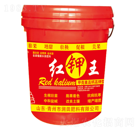 �ך��ظ��}�����-�t���-�h�|����