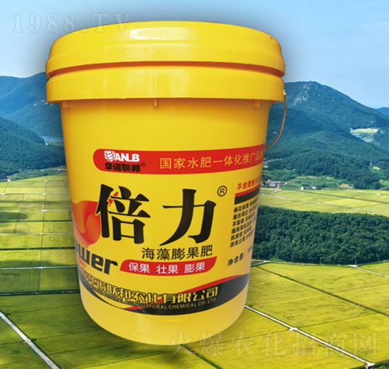 �������������-�A�Z(li��n)��