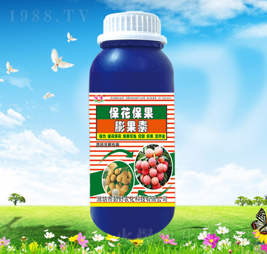 �������������-��Ұ�r��