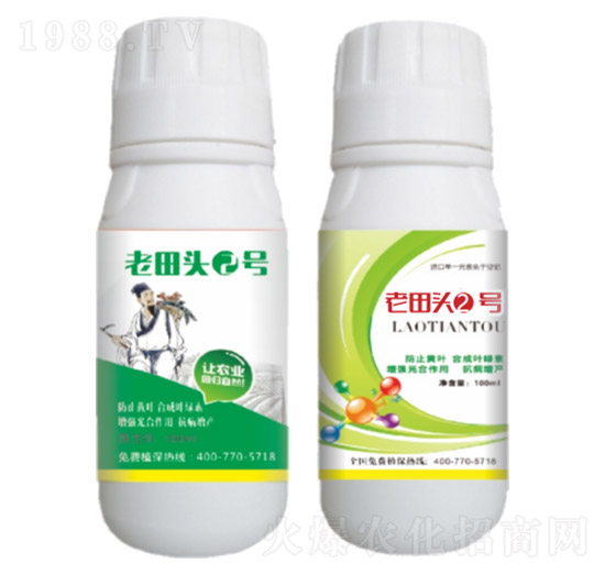 真菌、細(xì)菌性病害、病毒?。ㄖ胁菟幣浞剑?老田頭2號(hào)