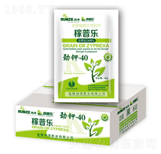 ���-40-���՘�(l��)-��(r��n)�ɷʘI(y��)